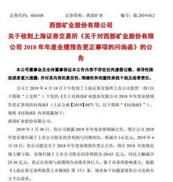 巨亏20亿！西部矿业年报变脸，上交所亮剑问询，财务迷局揭秘