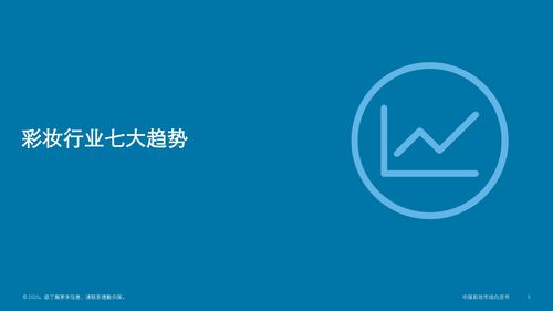 中国彩妆市场趋势概览 机遇、挑战与投资前瞻